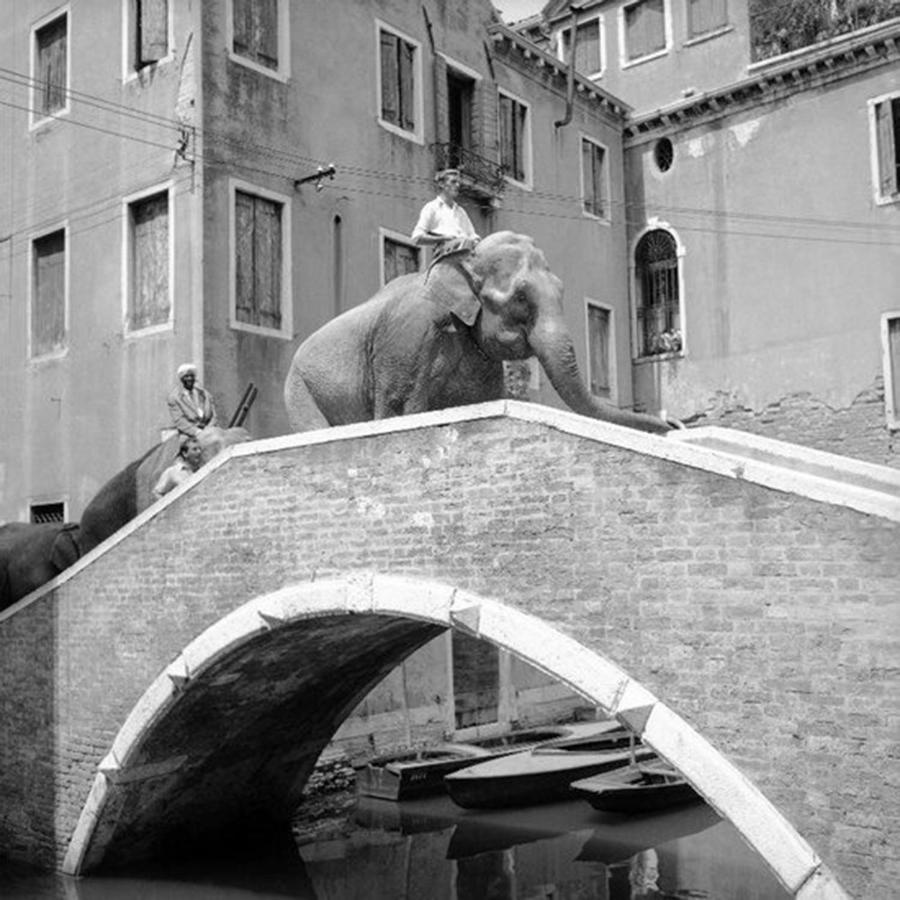 Ca' Circus 4 Rooms Wi-Fi Fibre Venise Extérieur photo